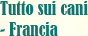 Tutto cani - Francia